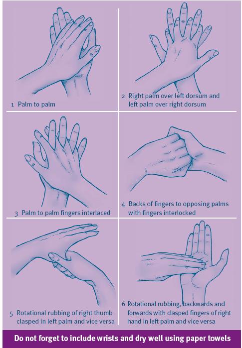 Washing your hand properly will help you to avoid bird flu