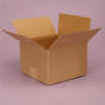 Picture of a 10 day bird flu kit